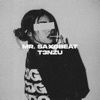 Mr. Saxobeat - Single