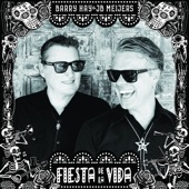 Fiesta de la Vida artwork