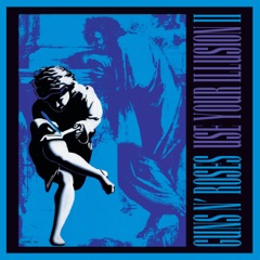 Use Your Illusion II (Deluxe Edition)