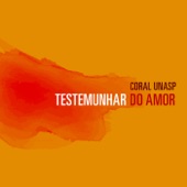 Primeiro Amor artwork