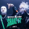 Shake It - Single