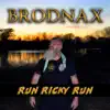 Run Ricky Run - Single album lyrics, reviews, download