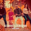 Kesariya / Calm Down - Single