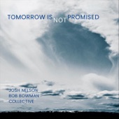 Josh Nelson Bob Bowman Collective - Tomorrow Is Not Promised