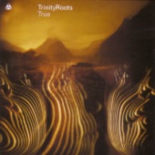 TrinityRoots - Passion