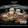 Chocolate Starfish and the Hot Dog Flavored Water album lyrics, reviews, download