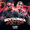 Stream & download Sentadinha Diferente (HUGEL Remix)