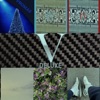V (Deluxe)