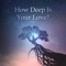 How Deep Is Your Love (Tiktok Mashup) [Remix] artwork