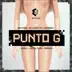 Punto G (feat. Darell, Arcangel, Farruko, De La Ghetto & Ñengo Flow) [Remix] song reviews