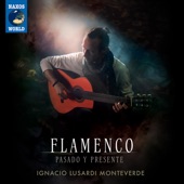 Flamenco: Pasado y Presente artwork