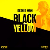 Black & Yellow artwork