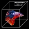 The Soul Aquarium (feat. Graham Dee) album lyrics, reviews, download