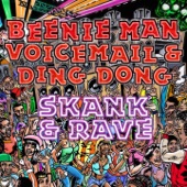 Skank and Rave (feat. Ding Dong) artwork