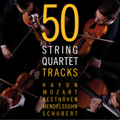 50 String Quartet Tracks - Haydn - Mozart - Beethoven - Mendelssohn - Schubert - Various Artists