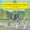 Schubert: Trios album lyrics, reviews, download