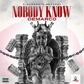 Nobody Know artwork