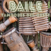 Baile (Instrumental) artwork