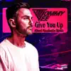 Give You Up (Albert Marzinotto Remix) - Single album lyrics, reviews, download