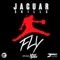 FLY (feat. WiDE AWAKE) - Jaguar Skills lyrics