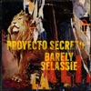 Barely Selassie - Single