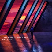 Evolve artwork