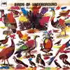 Stream & download Birds of Underground