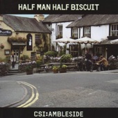 Half Man Half Biscuit - Little In The Way Of Sunshine