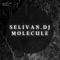 Molecule - Selivan.DJ lyrics