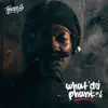 Whut Da Phunk - EP album lyrics, reviews, download