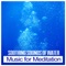 Echoes of Nature - Reiki Healing Zone lyrics