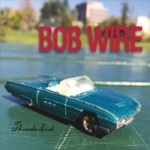 Bob Wire - Settle for Asheville