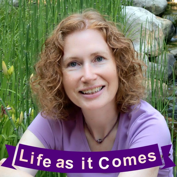 Life as it Comes cover