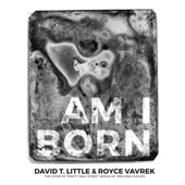 Am I Born, Part II: To Be Seen, A View artwork