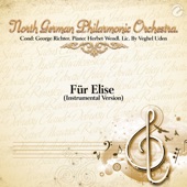 Für Elise (Instrumental Version) artwork