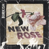 Burkish - New Rose