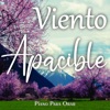 Viento Apacible