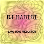 DJ HABIBI artwork