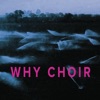 Why Choir - EP