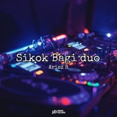 Siko Bagi duo artwork