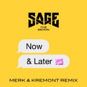 Now and Later (Merk & Kremont Remix) artwork