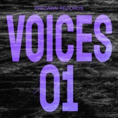 Voices 01 artwork