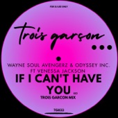 If I Can't Have You (Trois Garcon Mix) [feat. Venessa Jackson] artwork