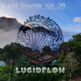 Various Artists - Lucid Sounds, Vol. 38 (A Fine and Deep Sonic Flow of Club House, Electro, Minimal and Techno) by Various Artists album reviews, ratings, credits