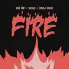 Fire (feat. Picazo & Havoc) - Single album lyrics, reviews, download