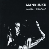 Yakhal' Inkomo artwork