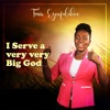 Tonia Ezeafulukwe - I Serve a Very Big God