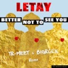 Better Not to See You (Tr-Meet & BigRock Remix) - EP