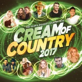 Cream of Country 2017 artwork