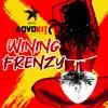 Stream & download Wining Frenzy - Single